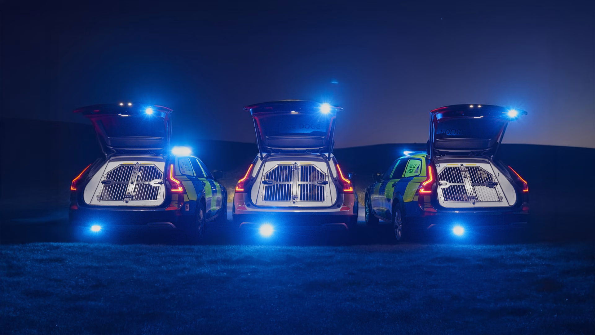 Rear shot of 3 Volvo Dog Units with generic Police Livery, boots are open showing dogs in dog crates and blue lights are synchronised. Image is shot at dusk/night in a rural location.